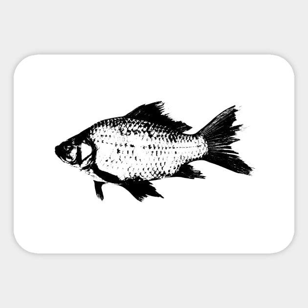 BLACK FISH Sticker by rchaem